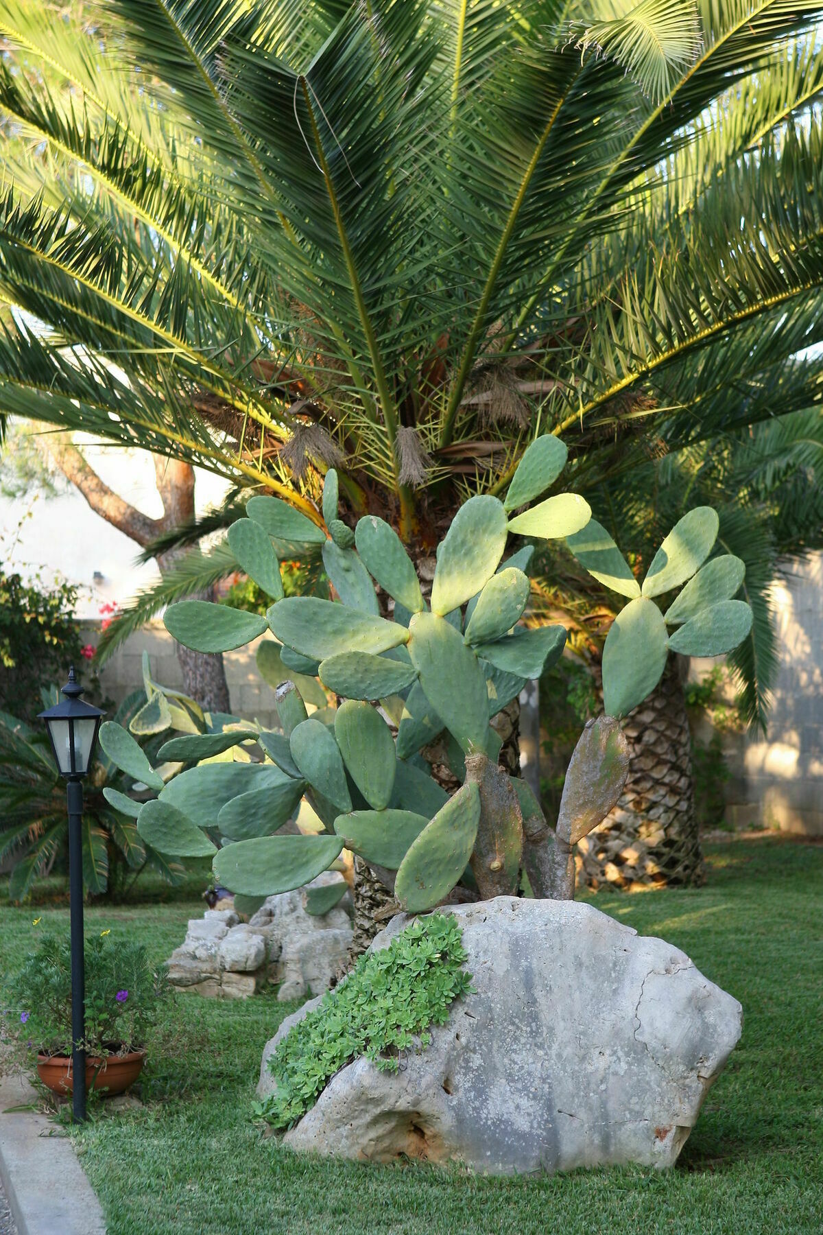 Lecce Guesthouse Exterior foto
