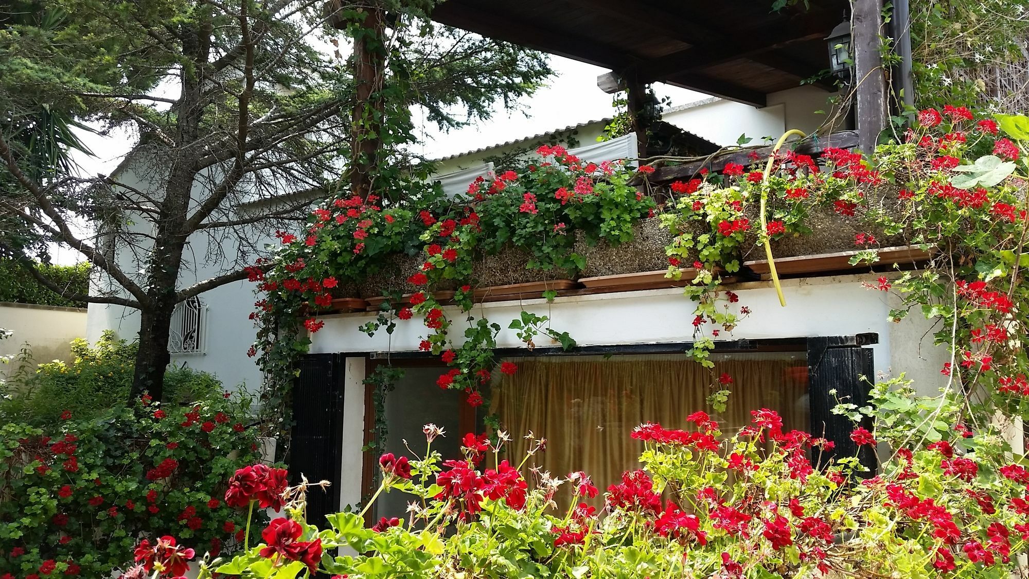 Lecce Guesthouse Exterior foto